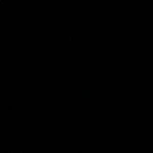 Meet your Posher, Lana